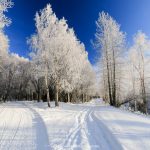 Nordic Skiing Anchorage’s Trail System