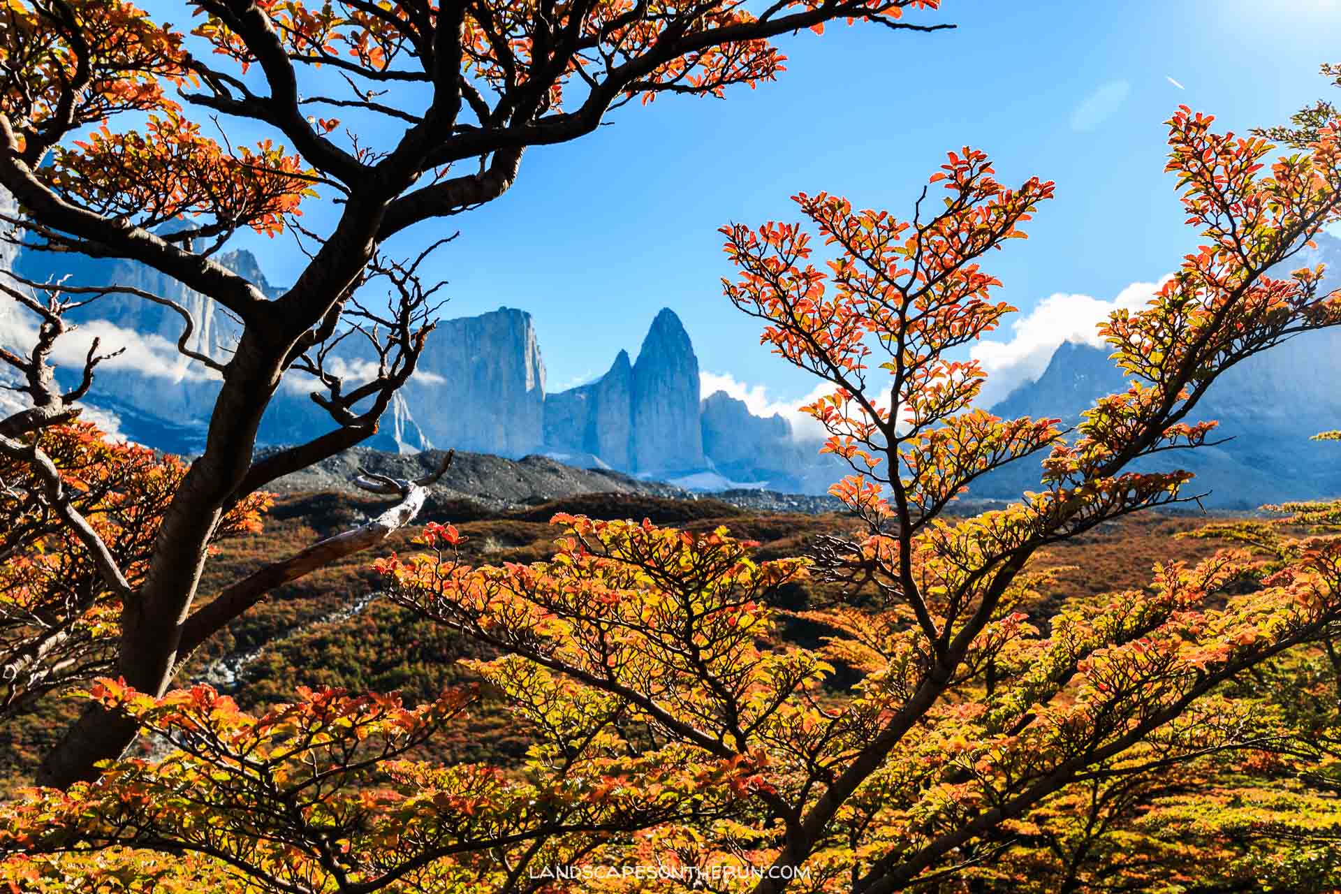 Torres Del Paine Autumn