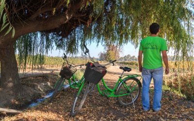 Ride Bikes & Drink Wine Sustainably in Santiago