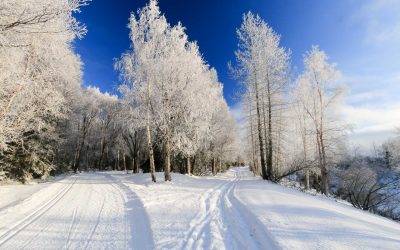 Nordic Skiing Anchorage’s Trail System
