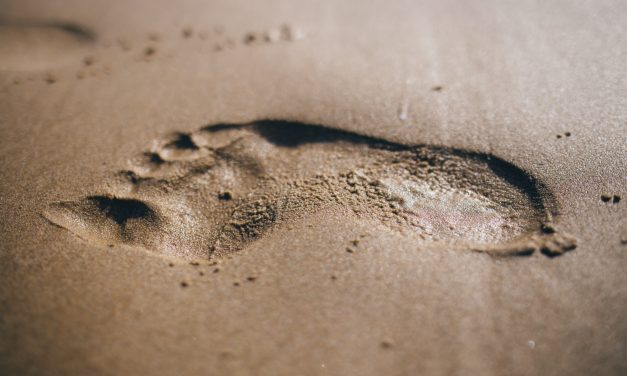 4 Little Ways to Lessen Your Travel Footprint