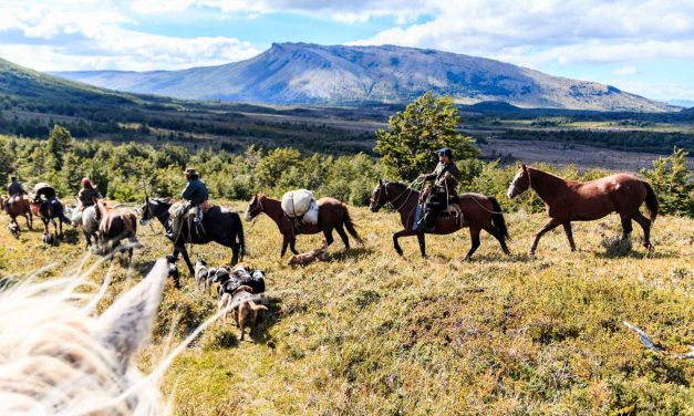 Agritourism in Patagonia: Sustainable Tourism to Preserve Culture and Identity