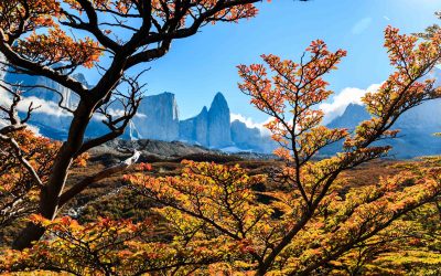 5 Reasons to Visit Torres Del Paine in the Fall