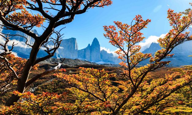 5 Reasons to Visit Torres Del Paine in the Fall
